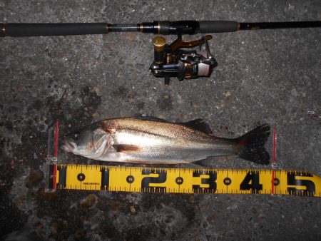 突然の強風で終了…。