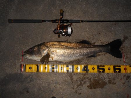 雨後は要チェック