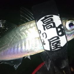 感染防止のため間を広く取って釣りしましょう