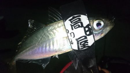 感染防止のため間を広く取って釣りしましょう