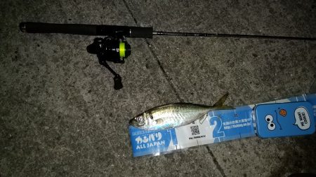 やっと長いボウズ期間から脱却する事が出来ました。