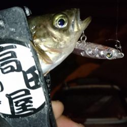 防寒着は忘れずに！！