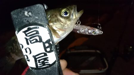 防寒着は忘れずに！！