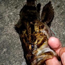 干潮の浅瀬にて