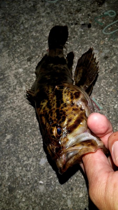 干潮の浅瀬にて