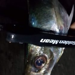 フロートアジング　36cm