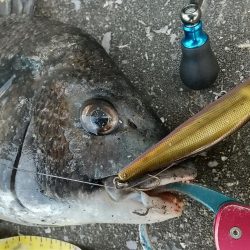 短時間デイゲーム夕練調査！