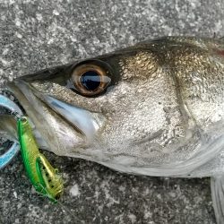 日没迄の短時間夕練！