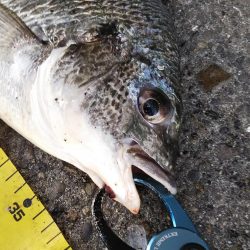 ぶら河川調査！！