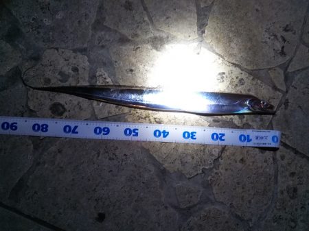 陸っぱりタチウオの季節到来か……