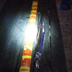 渋いが……なんとか