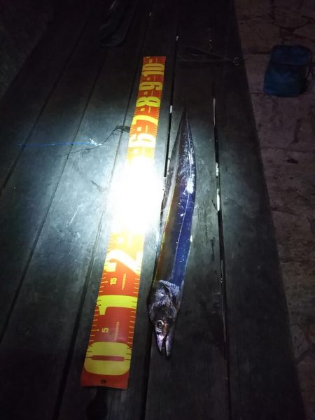 渋いが……なんとか