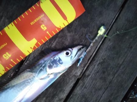 雨上がりの土曜日