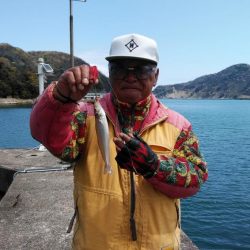 寒い津居山小島でキス狙い