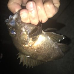 晩飯までの短時間