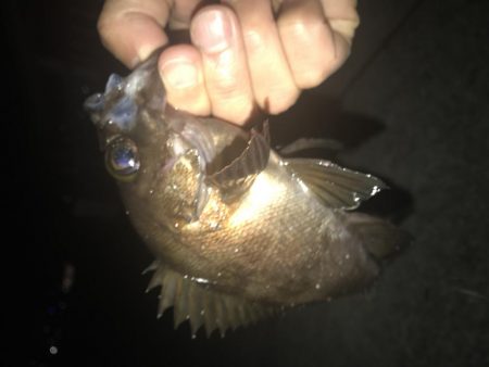 晩飯までの短時間