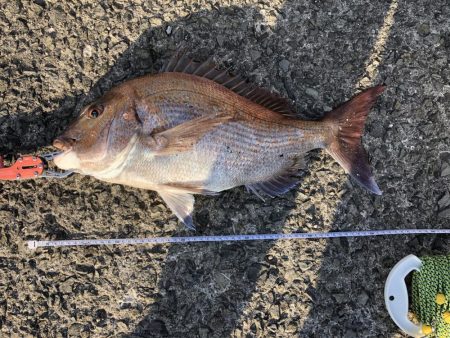 ショアタイラバ