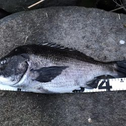 イチノ兄弟、釣果！