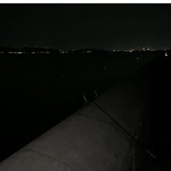 太刀魚釣れる時間！？