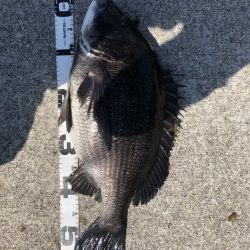 イチノ兄弟、釣果！