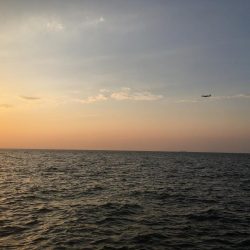 好調です、春告魚