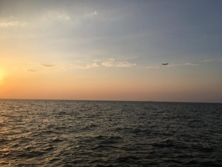 好調です、春告魚