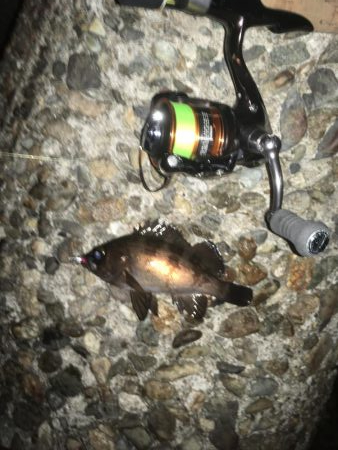 ぼちぼちでした