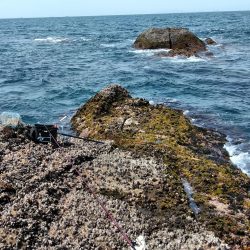 フカセが一番・・面白いです・・釣れない四月・・