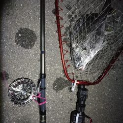 南港へち釣行 (2020/04/19 南港ヘチ釣り キビレチヌ(37cm)ガシラ 釣果有り)