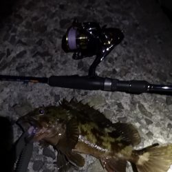 味噌汁リベンジ