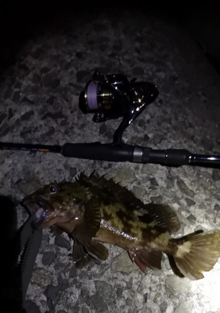 味噌汁リベンジ