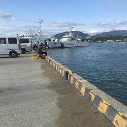 コサバ少々、ヒイラギ少々