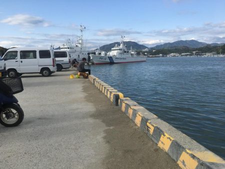 コサバ少々、ヒイラギ少々