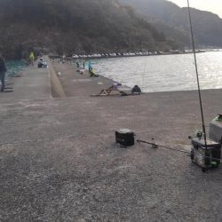 久しぶりのまともな釣果♪