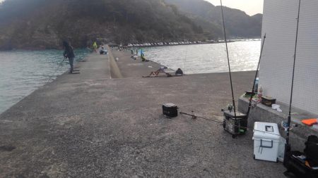 久しぶりのまともな釣果♪