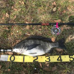 1週間ぶりの釣行でゲット