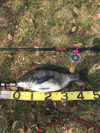 1週間ぶりの釣行でゲット