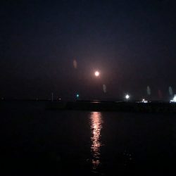 今宵も月が綺麗でした