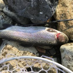 北田原マス釣り場