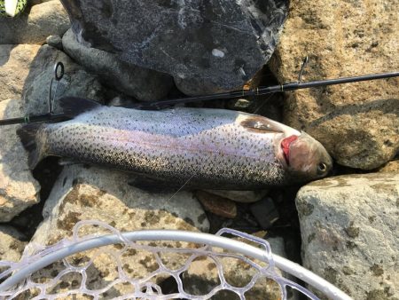 北田原マス釣り場