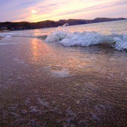 恐らく住んでいる地域最速でのキャッチ