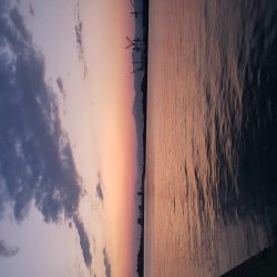 夕まずめでヒラメ