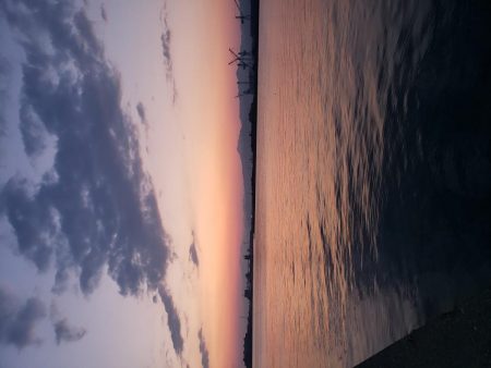 夕まずめでヒラメ