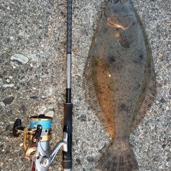 夕まずめでヒラメ