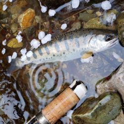 寒いなか頑張りました！