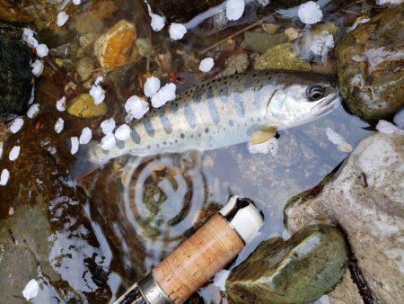 寒いなか頑張りました！