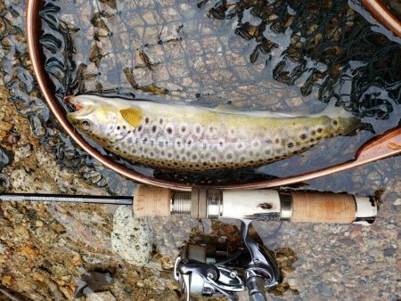 またまた、雨。でも止められません‼️