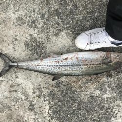 手ぐすね引いて