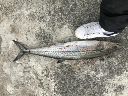 手ぐすね引いて