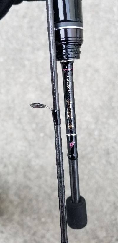 久しぶりのアジング